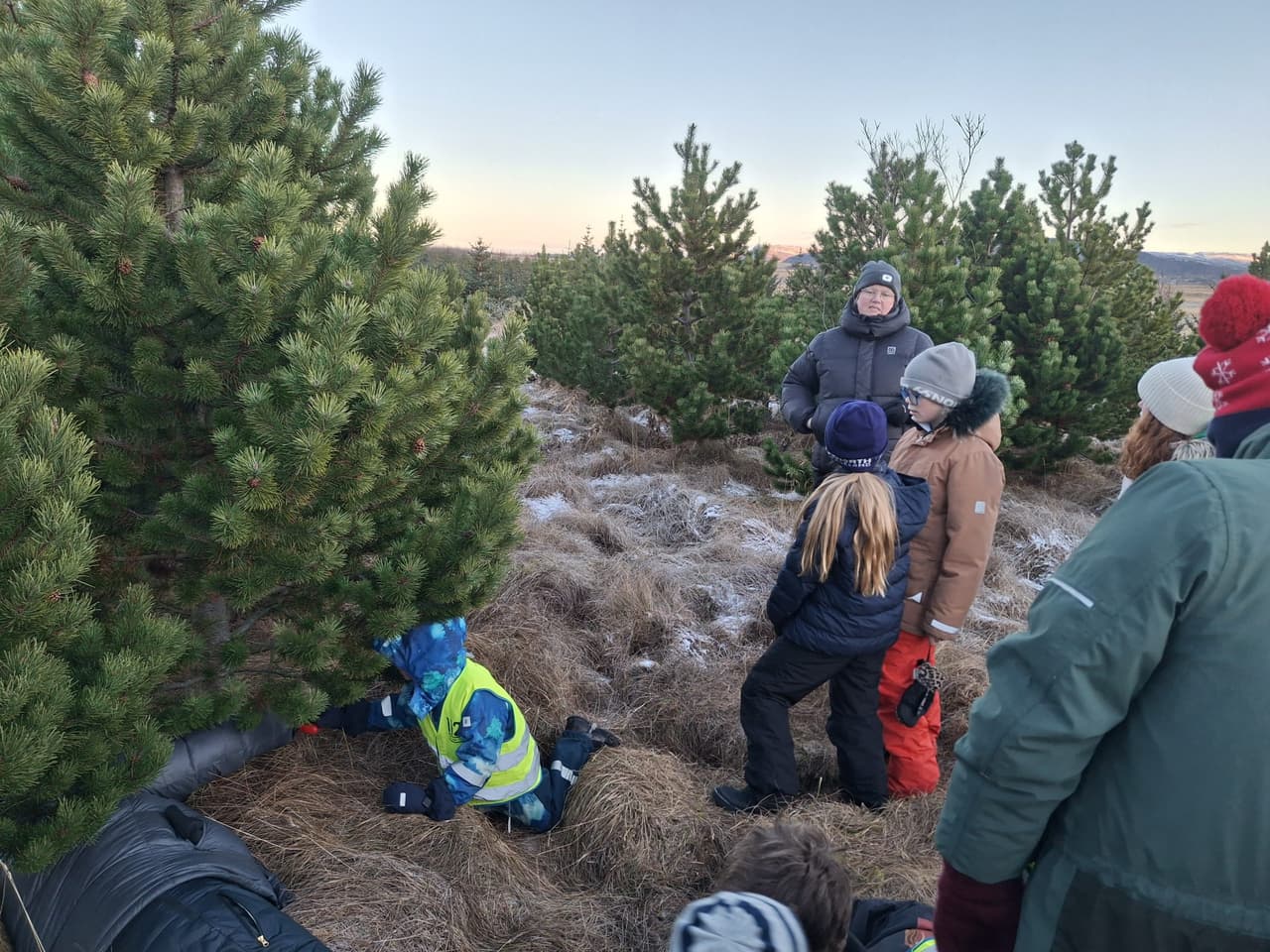 Jólaföndur og jólatré