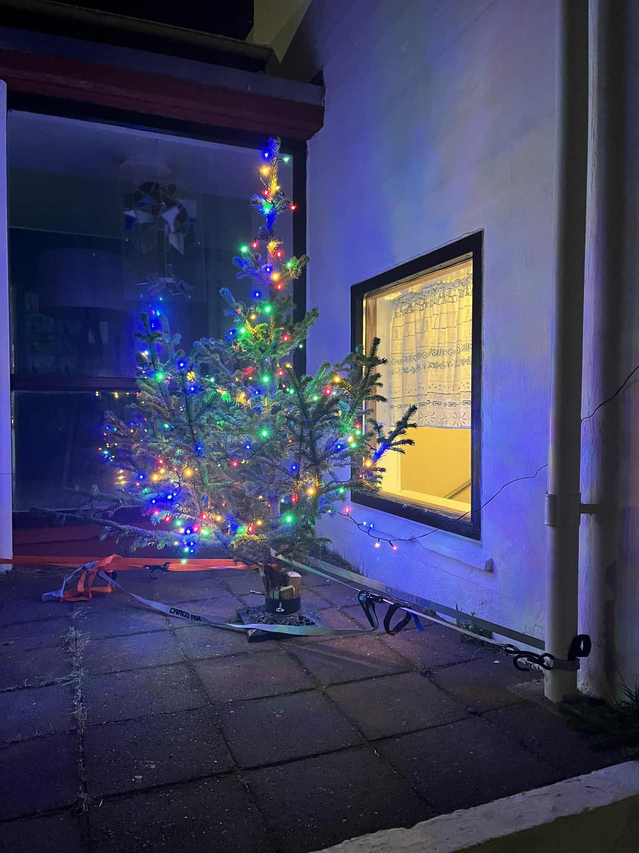 Nemendur Varmalandsdeildar leikskólans Hraunborgar völdu jólatré í skóginum