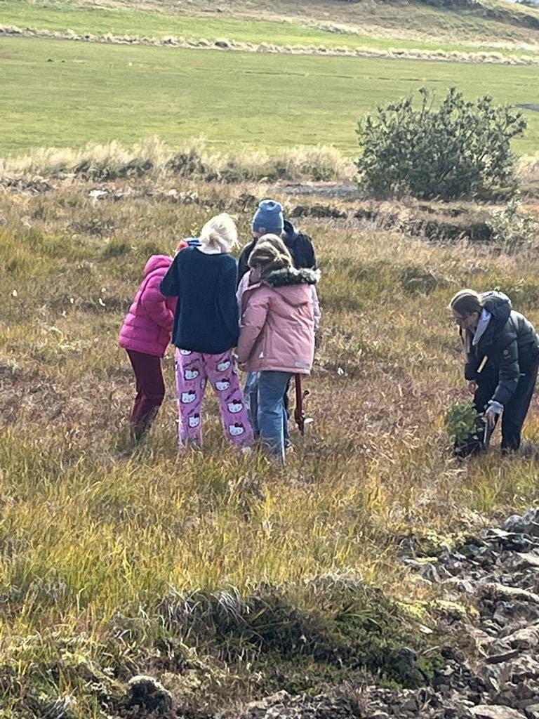 Gróðursetning hjá 4. og 9. bekk.