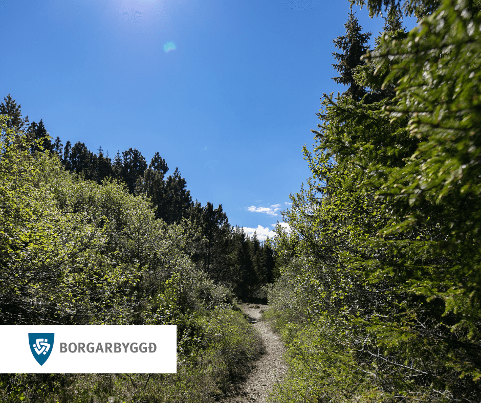 Sumarlokun Ráðhúss Borgarbyggðar 2025