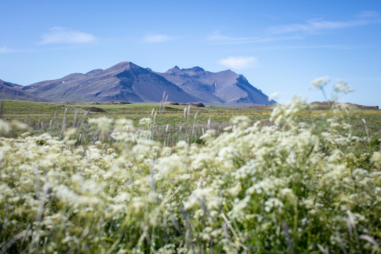 Brekkukot – Nýtt deiliskipulag