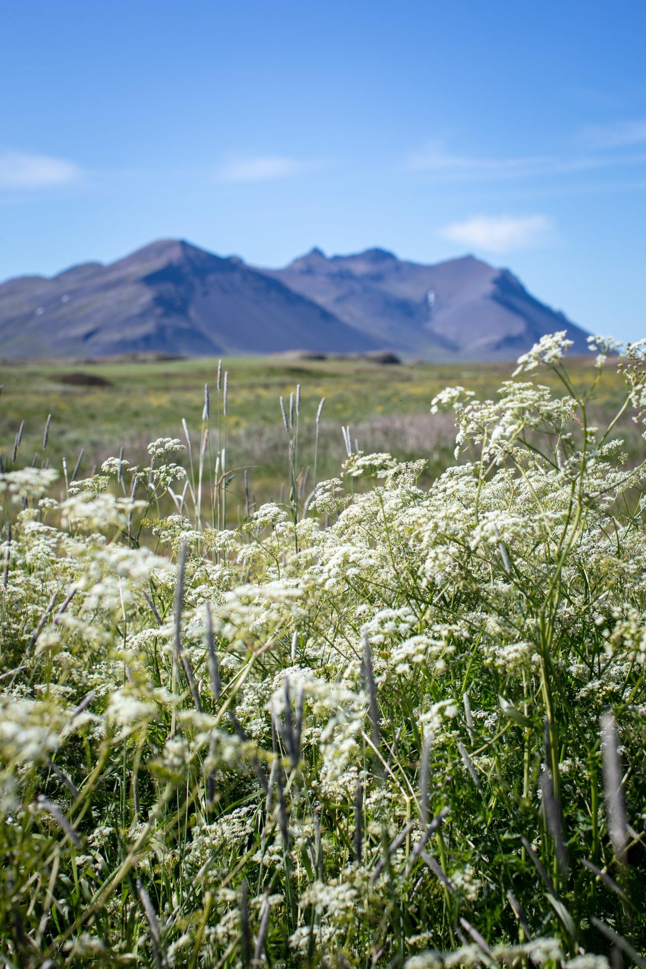 Hvítárvellir 7 – Breyting á Aðalskipulagi og nýtt deiliskipulag